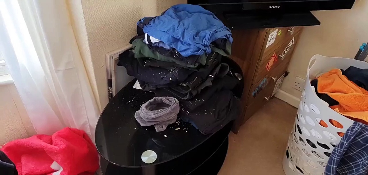 Dailymotion Un nid de guêpes dans une pile de vêtements !